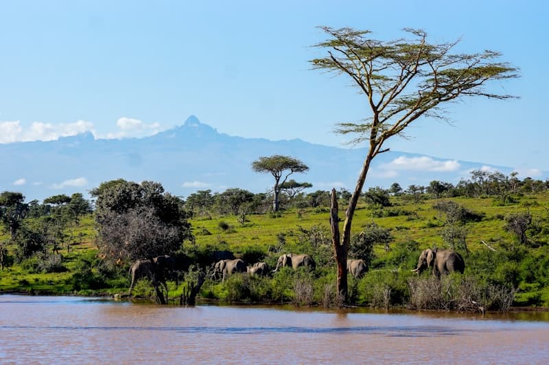 Alpine lake surrounded by lush forest - Chogoria route