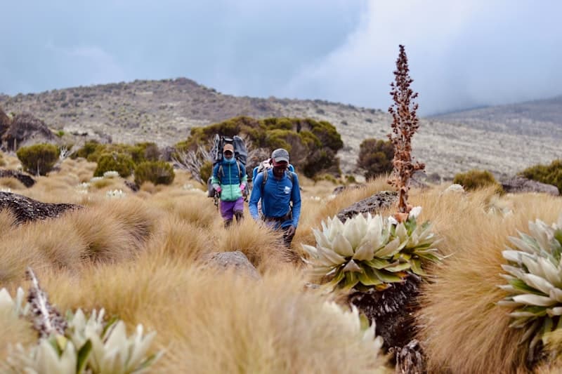 Two hikers traversing rocky mountain terrain